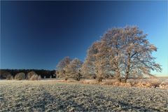 Wintertage ohne Schnee