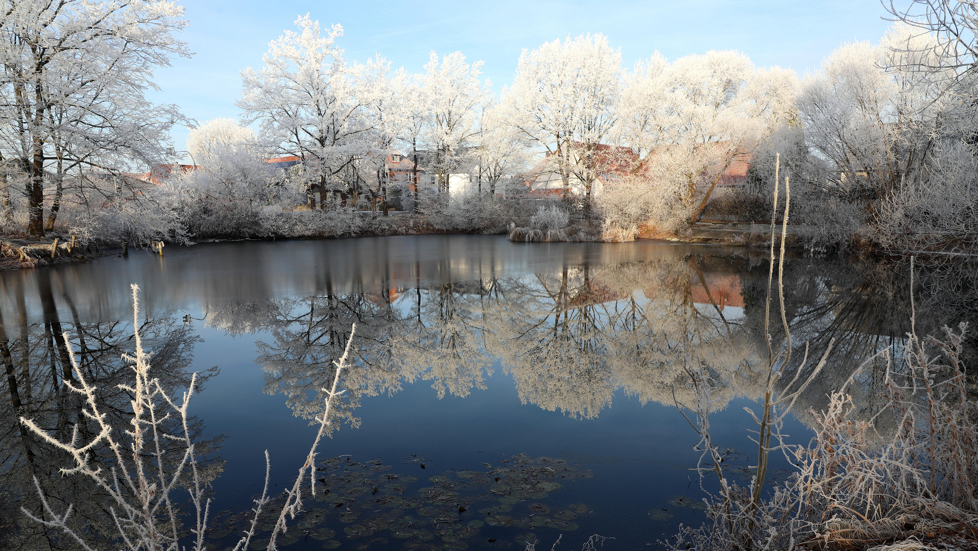 winterteich