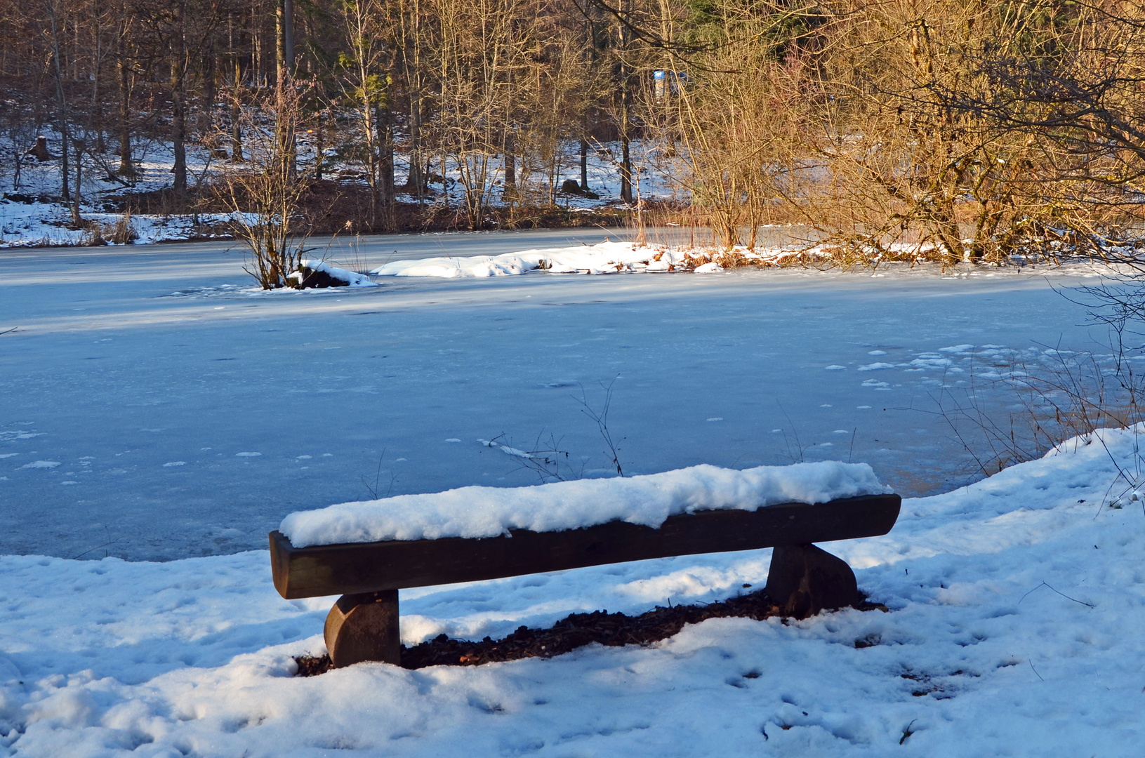 winterteich