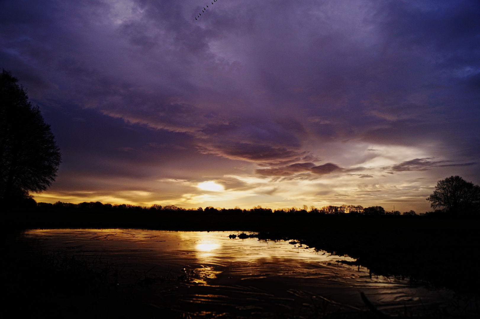 Winterteich am Morgen