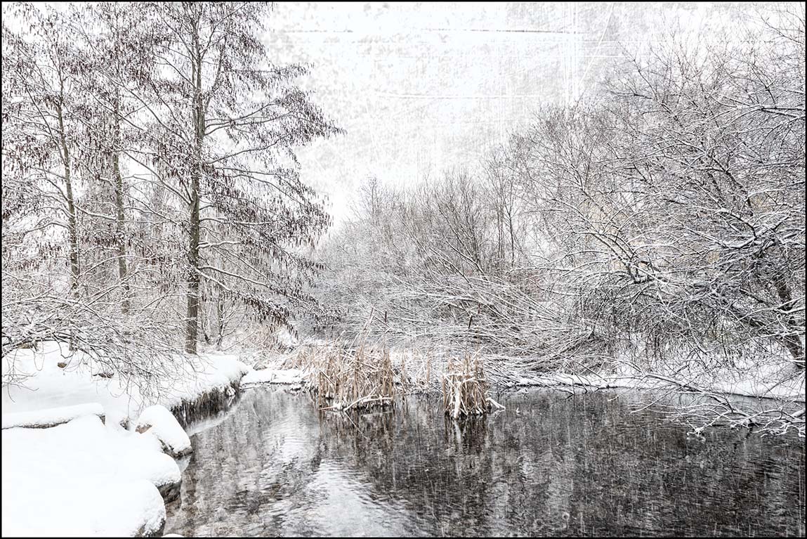 Winterteich