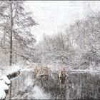 Winterteich