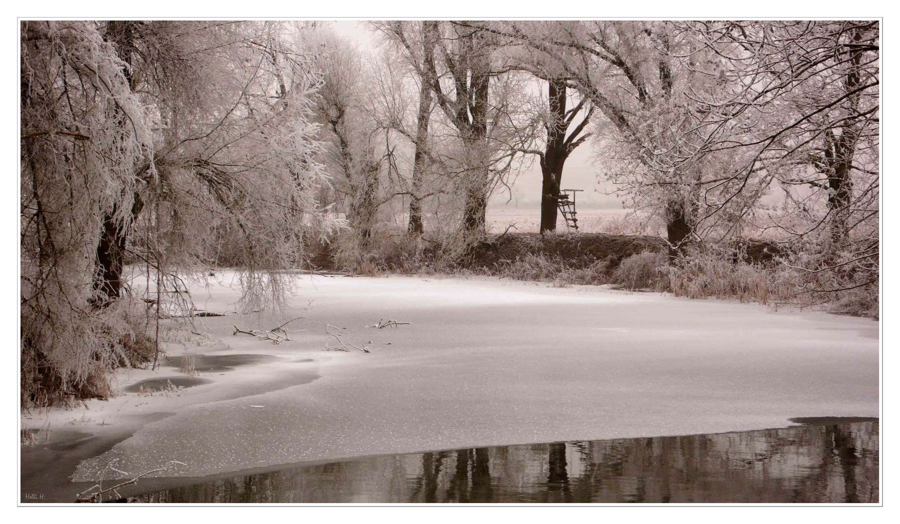 Winterteich