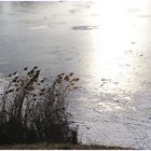 winterteich II