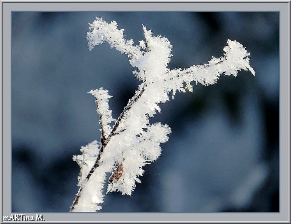 Winterteufelchen (mit Gedicht)