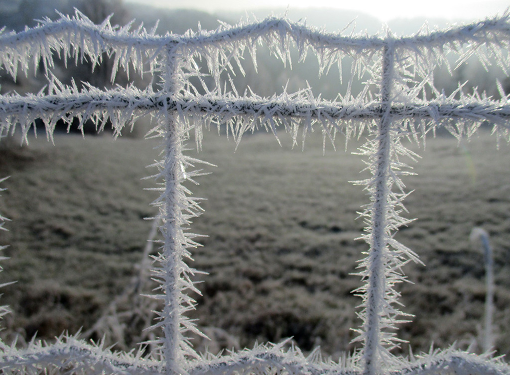  wintertime is coming 1 - vereister Zaun auf der Ries heute Morgen 