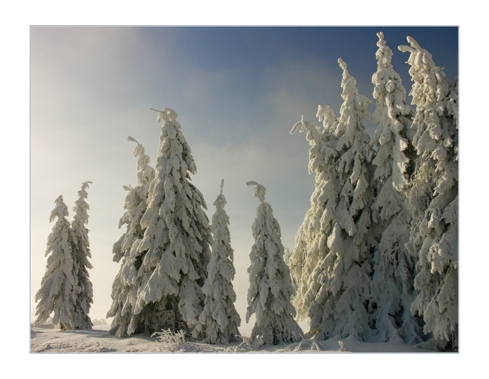 ...wintertime... - oder: Aufmarsch der lustigen "Fichtelmänner"...