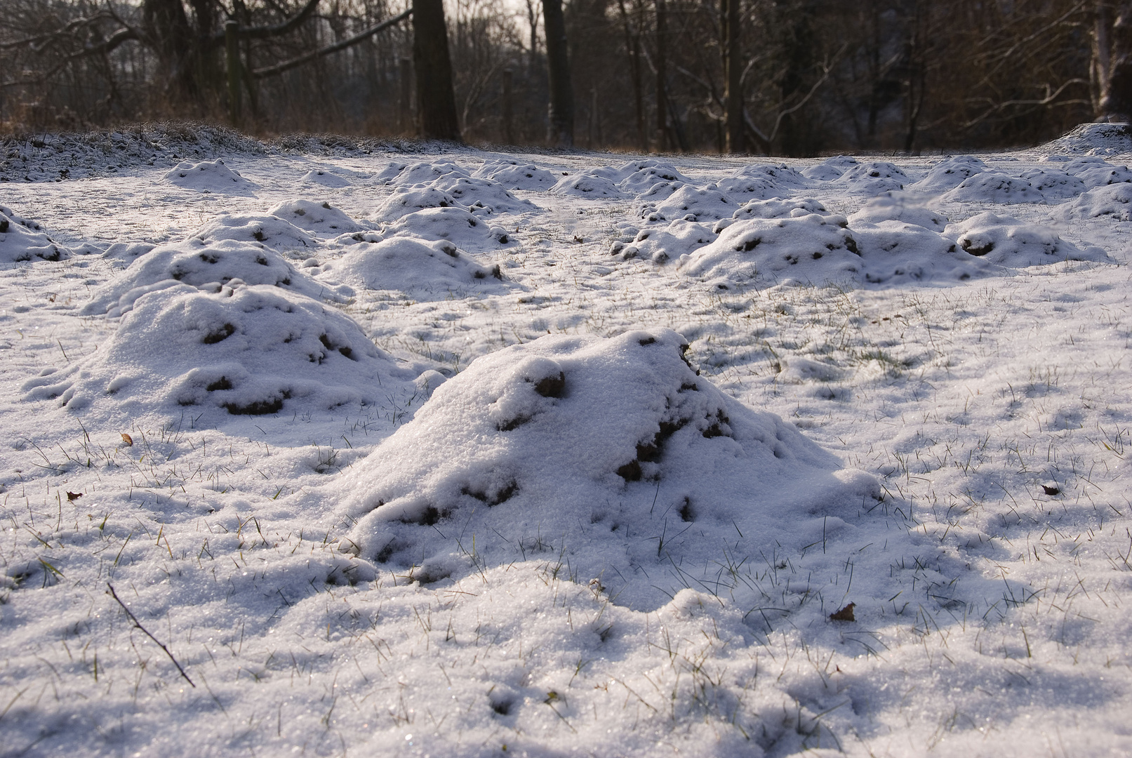 Wintertimpression "mit Knubbeln"