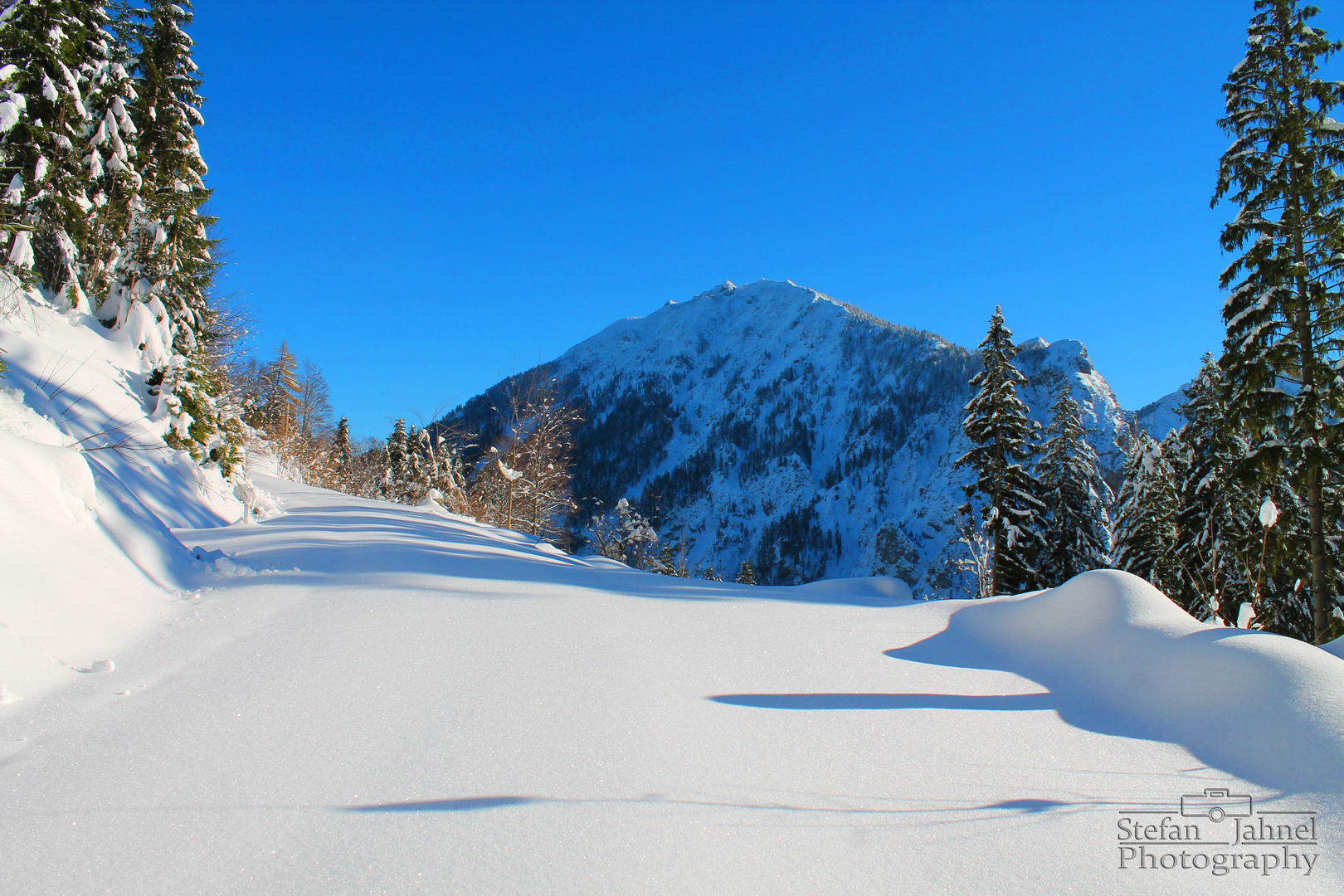 Wintertour am Hochgern. Stille genießen