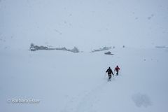 Wintertouren im Schnee