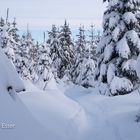 Wintertouren im Schnee