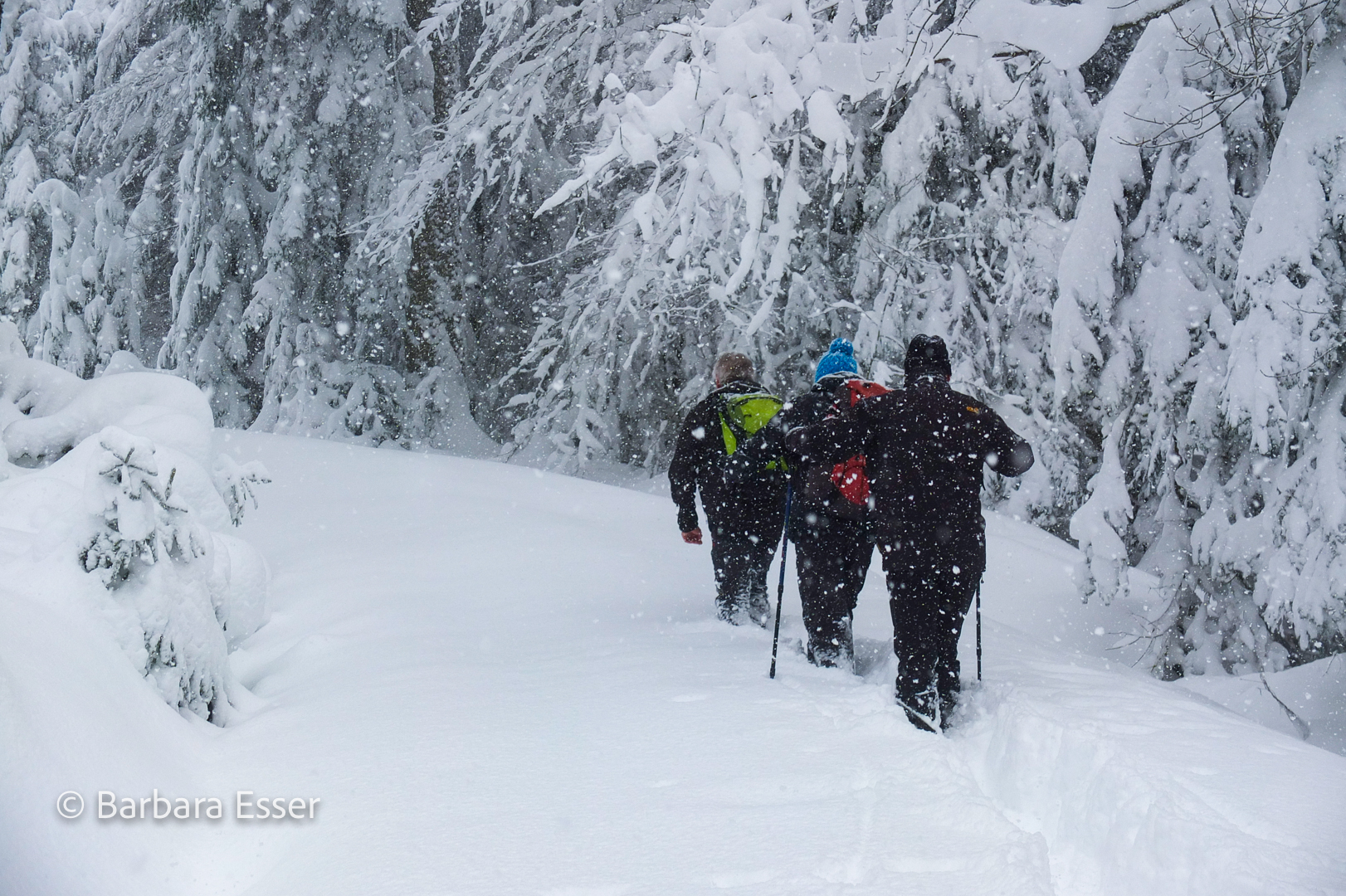 Wintertouren im Schnee