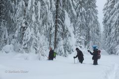 Wintertouren im Schnee