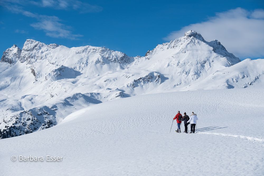 Wintertouren im Schnee