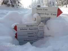 Wintertouren im Schnee