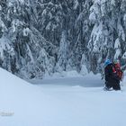 Wintertouren im Schnee