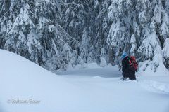 Wintertouren im Schnee