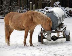 Wintertränke