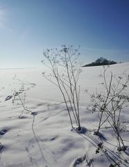 Winterträumchen ;-)