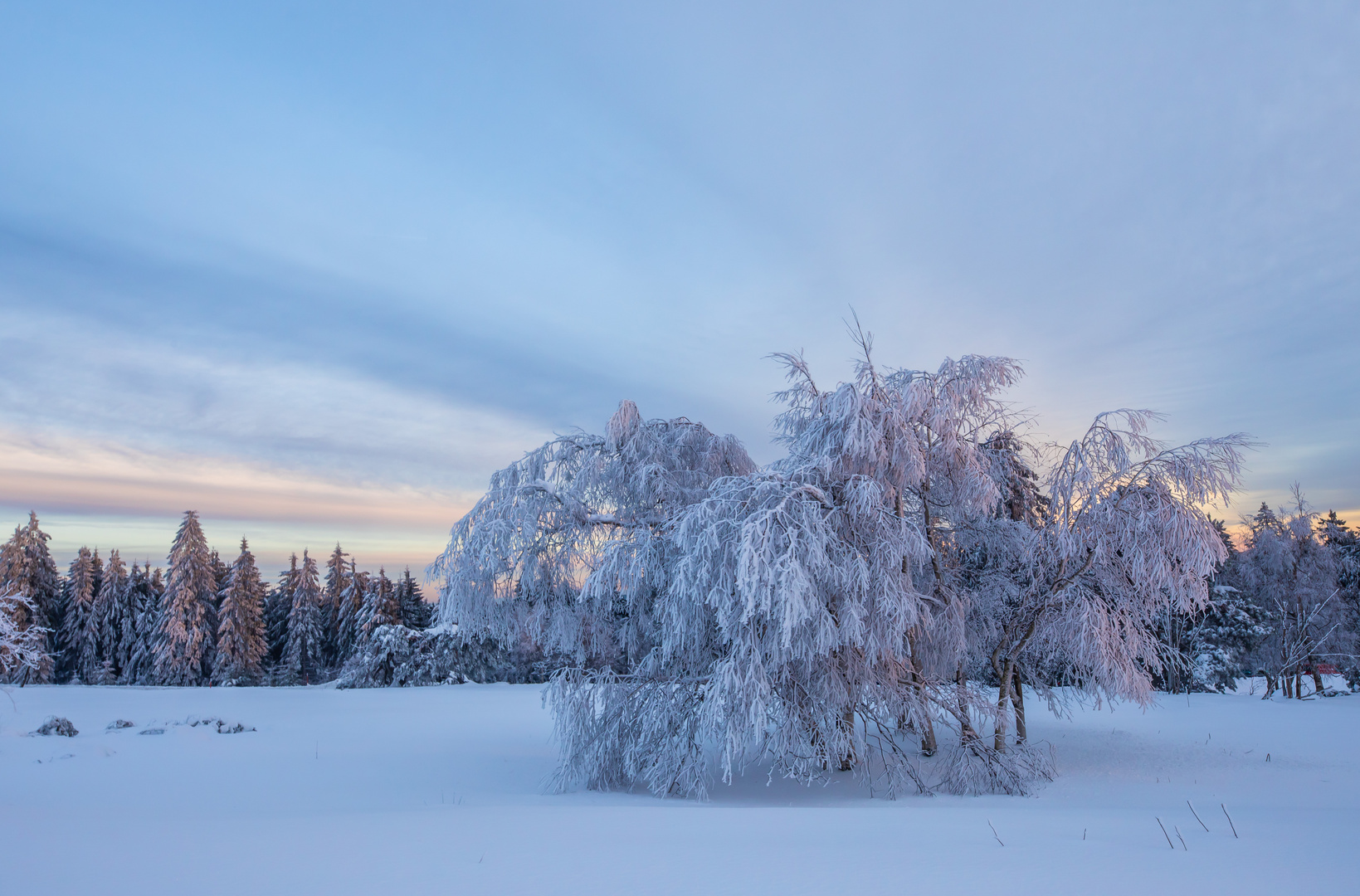 Winterträumchen im Schwarzwald