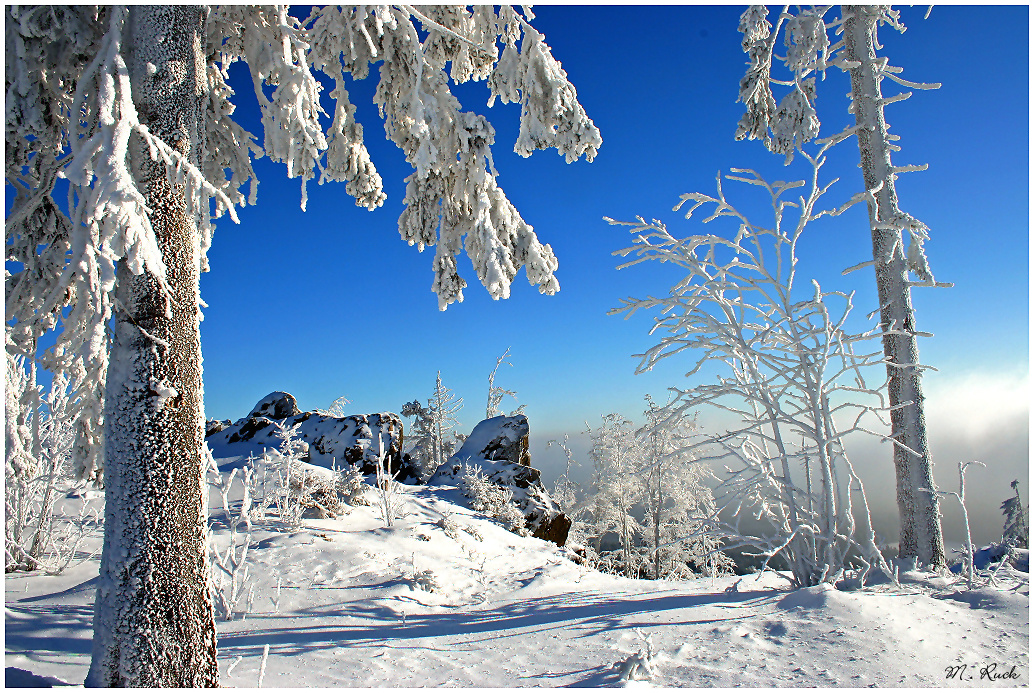 Winterträume 01 ,