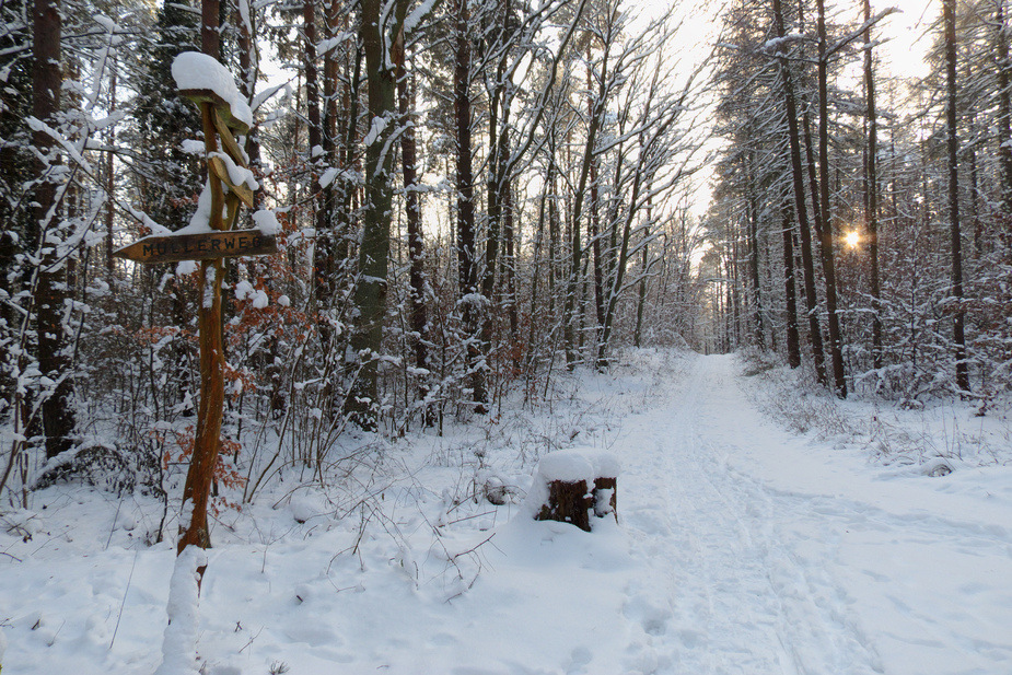 Winterträume