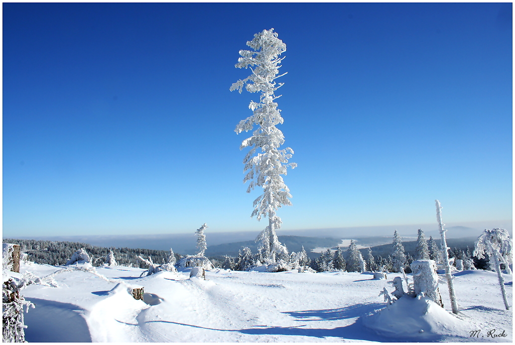 Winterträume 06 .