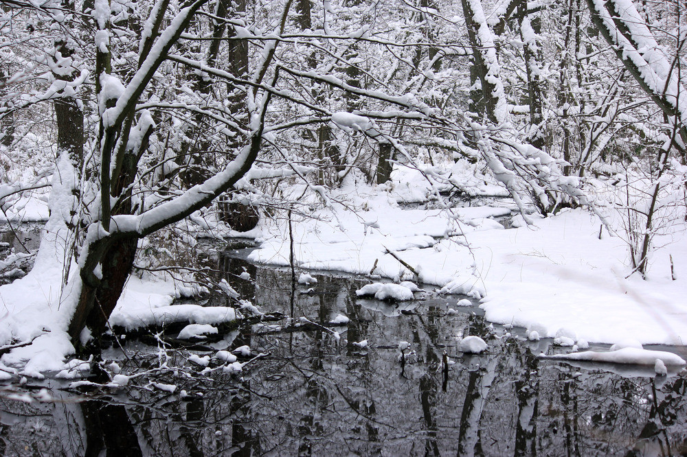 Winterträume