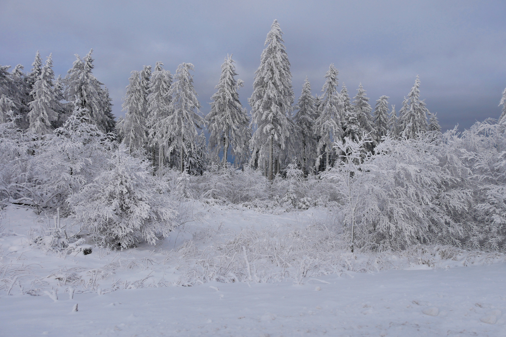 Winterträume...