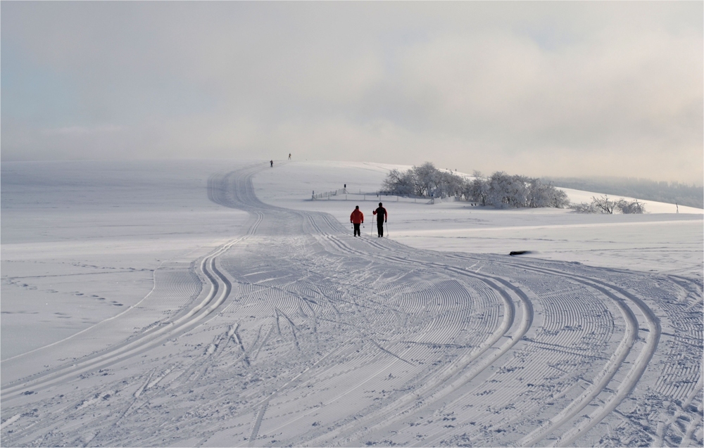 Winterträume..