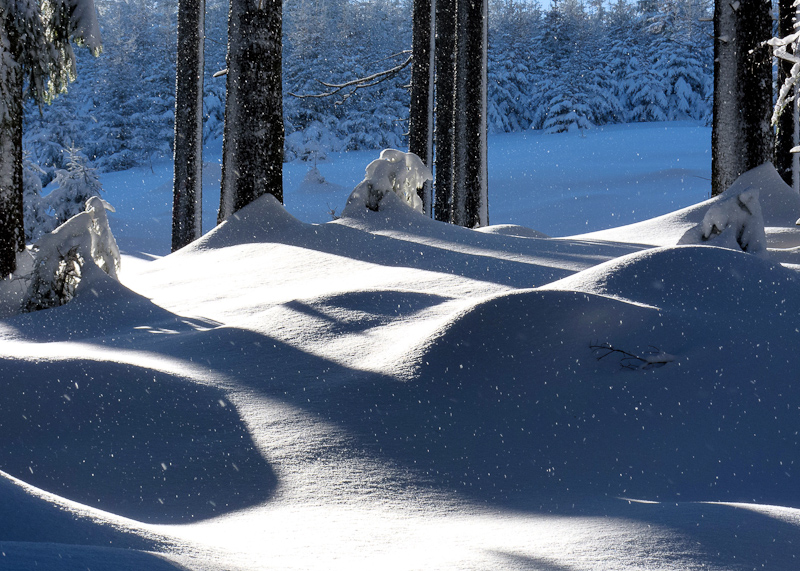 Winterträume