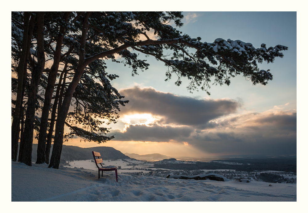 Winterträume...