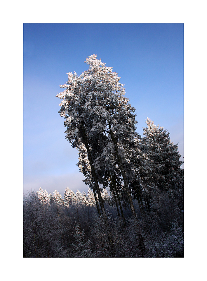 WinterTräume