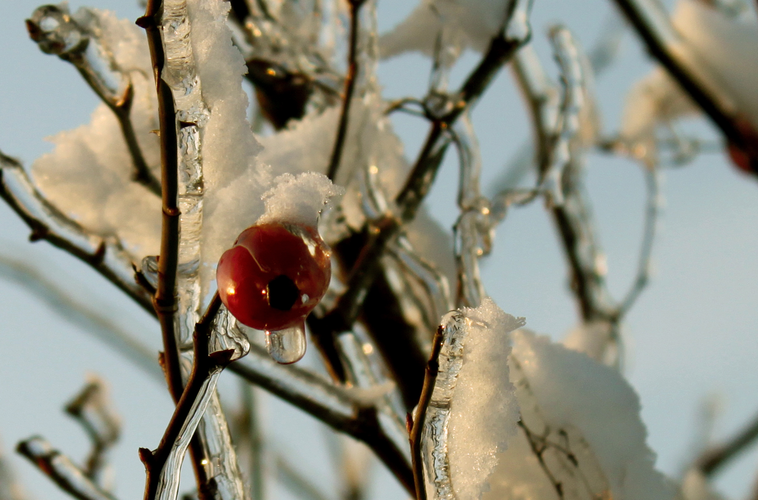 Winterträume