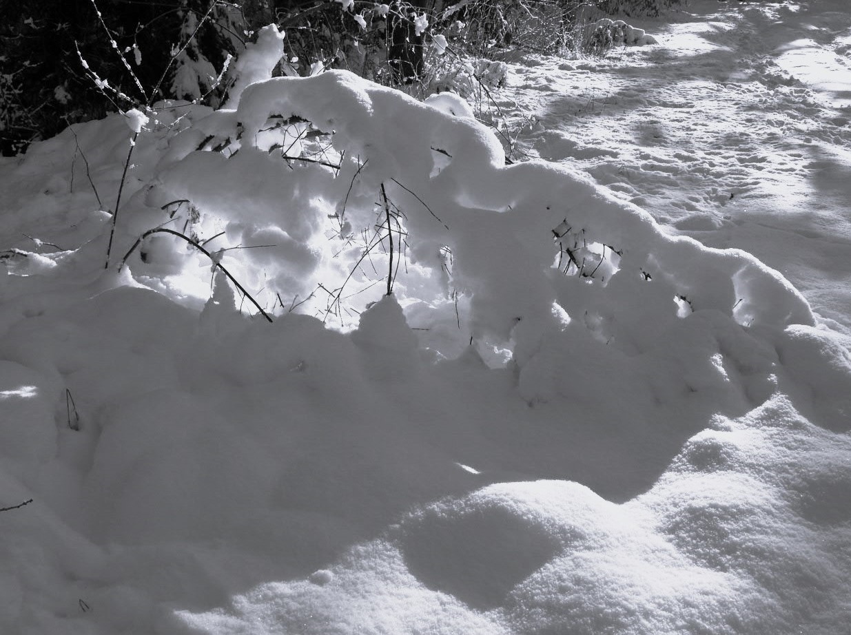 Winterträume