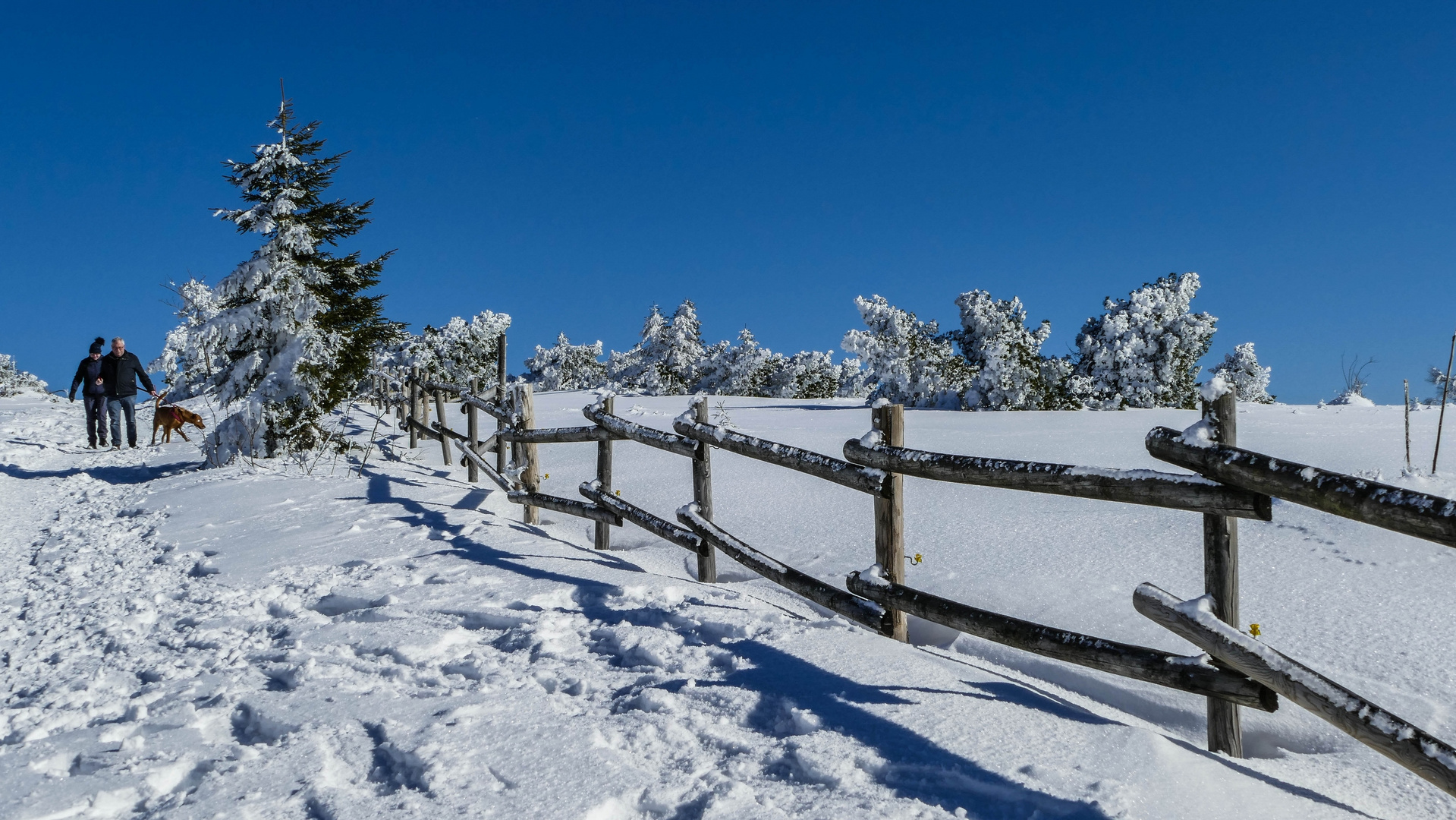 Winterträume