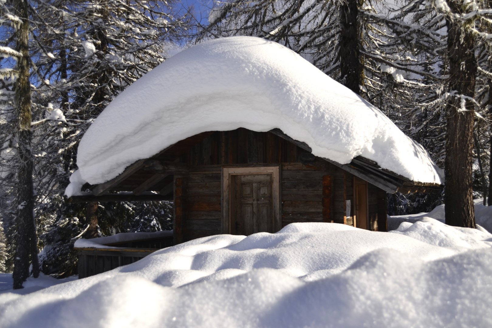 Winterträume