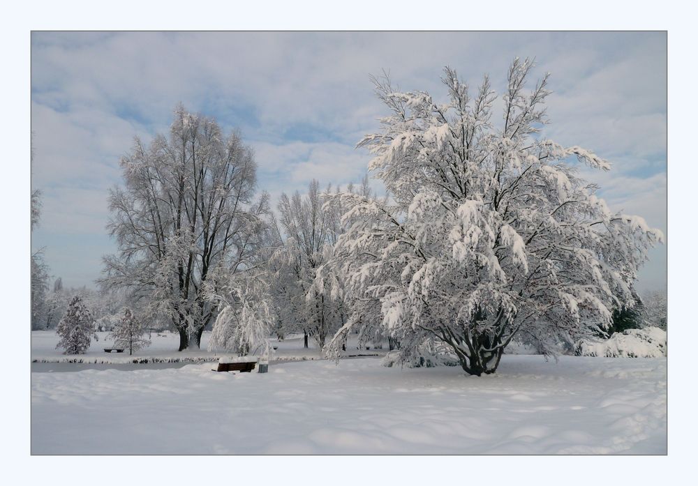 Winterträume 