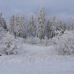 Winterträume....