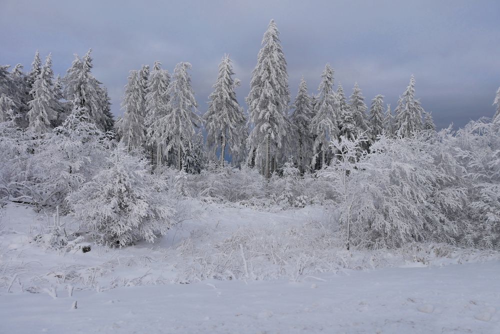 Winterträume....