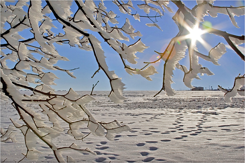 Winterträume