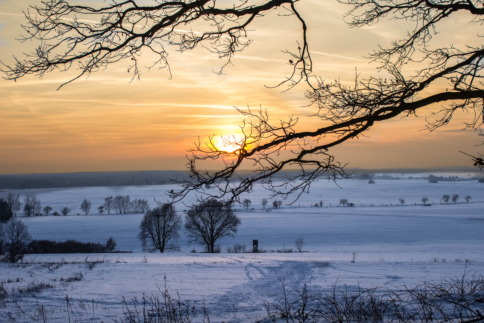 Winterträume