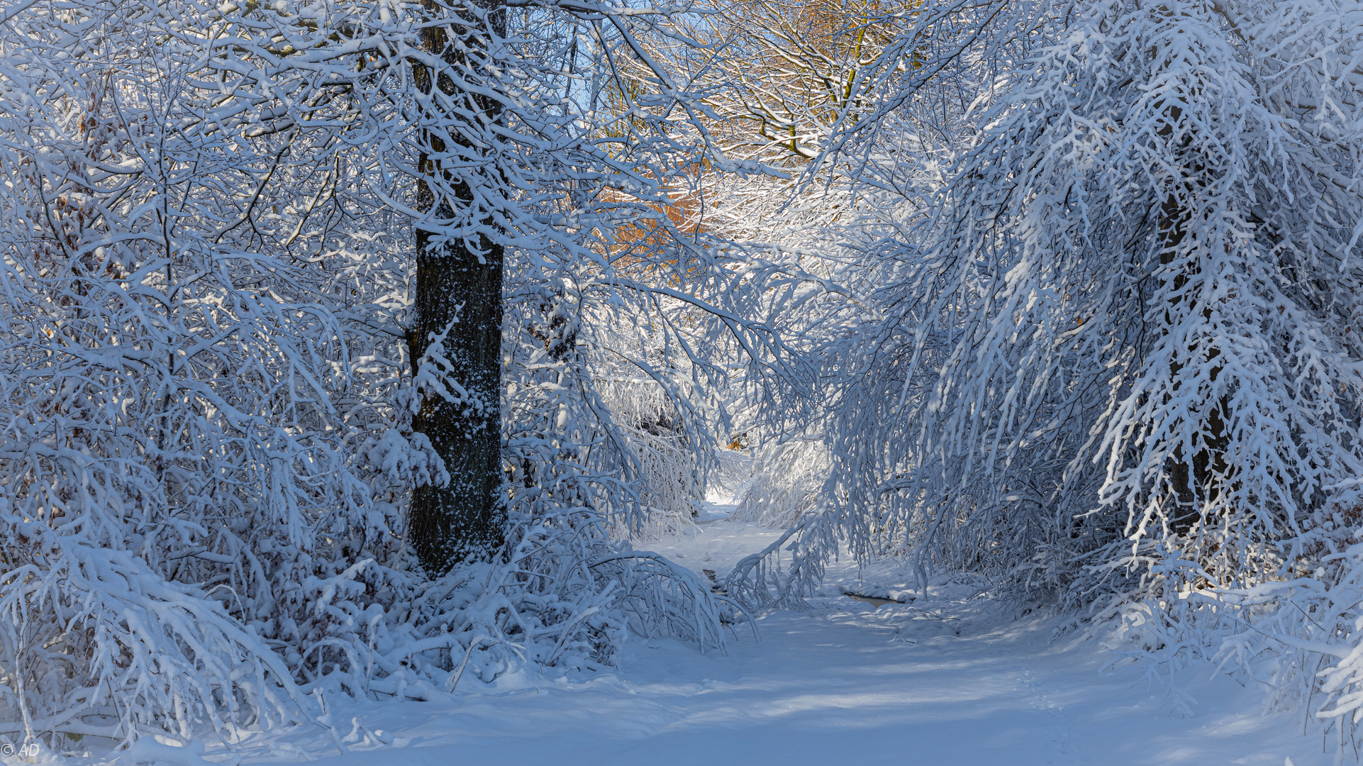 Winterträume