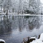 Winterträume am kleinen Lasbachteich