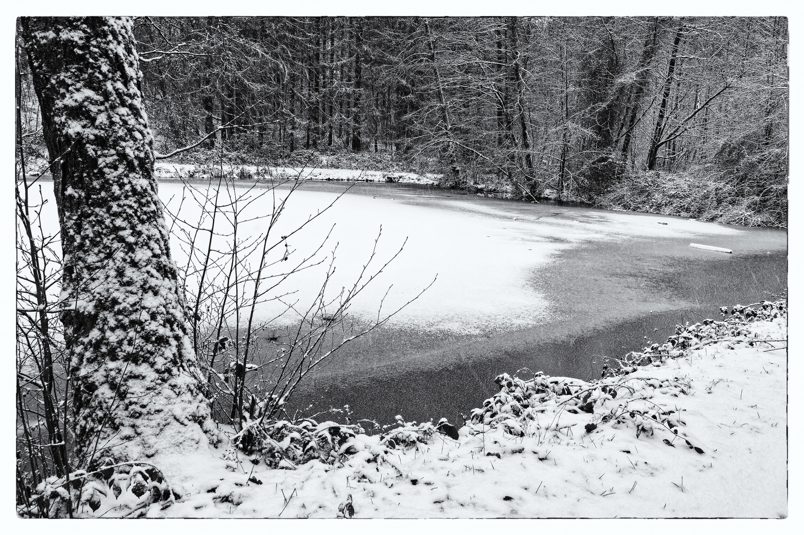 Winterträume am Lasbachweiher