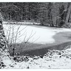 Winterträume am Lasbachweiher