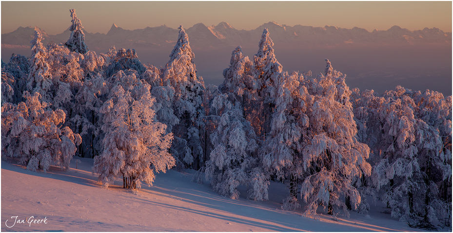 Winterträume