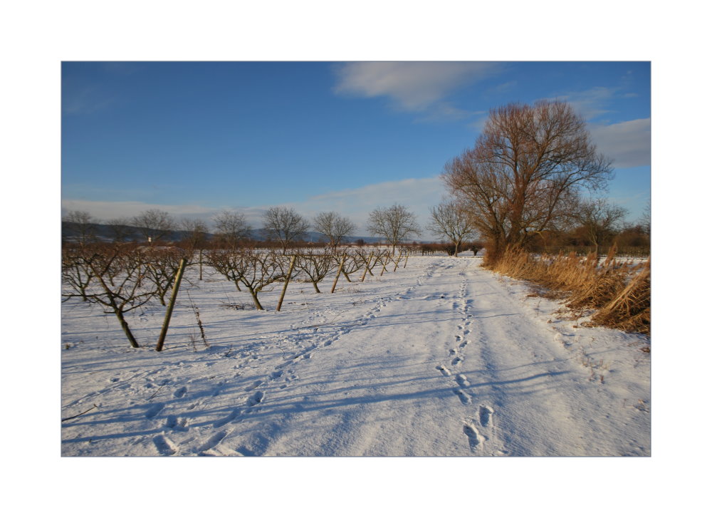 Winterträume Teil 1