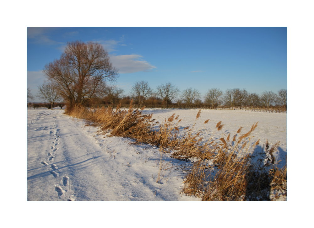 Winterträume Teil 2