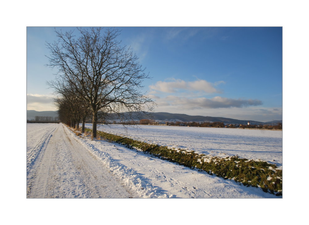 Winterträume Teil 4